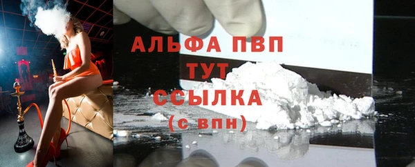 гашик Надым