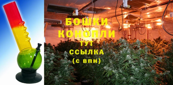 гашик Надым